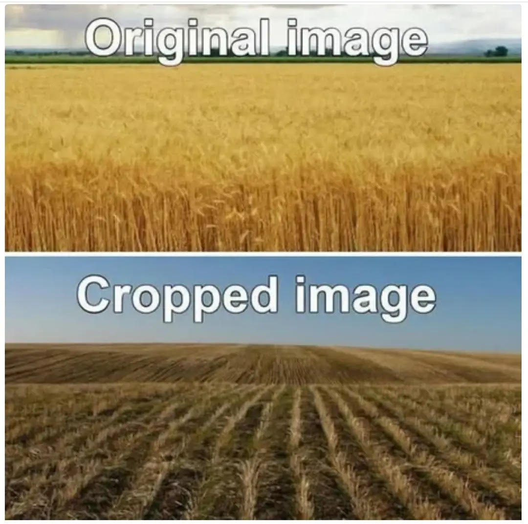 1756671938797.jpeg