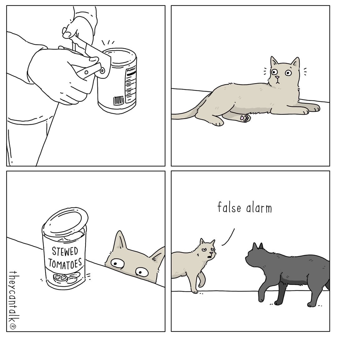 false-alarm.jpg