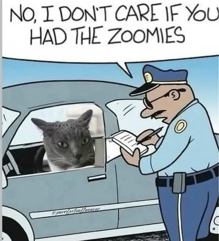 zoomcop.jpg