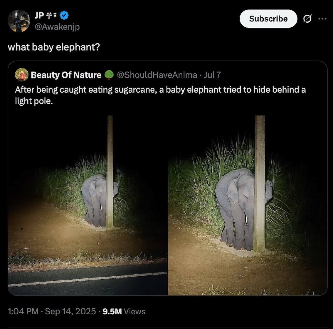 hiding4.jpeg