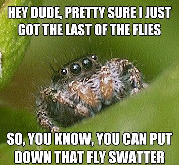 misunderstood-spider-meme-flies-fly-swatter-2251781043.jpg