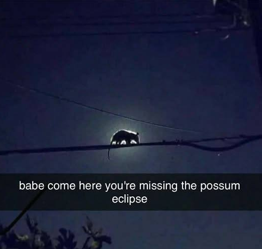 1758802195277.png