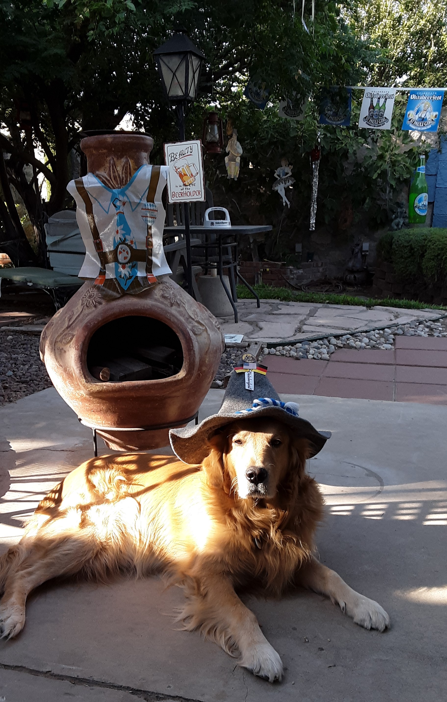 20250927_08763.jpg