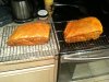 image-1981284885.jpg