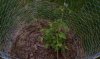 ForumRunner_20130626_080630.jpg