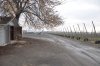 DSC_0162.jpg