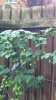 image-976913721.jpg