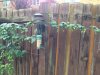 image-3513249725.jpg