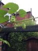 image-2919558753.jpg