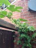 image-3684582364.jpg