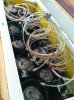 image-3436724542.jpg