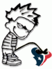 th_calvin-texans.gif