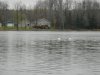 DSCN1632.jpg