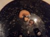 DSC02859.jpg