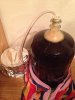 image-2348399660.jpg
