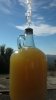 ForumRunner_20131130_121202.jpg