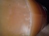 ForumRunner_20131205_185812.jpg