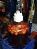 image-64325927.jpg