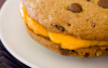 chocolate-chip-grilled-cheese-sandwich-84980889214_xlarge.png