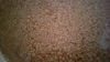 ForumRunner_20131218_161914.png