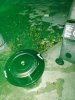 ImageUploadedByHome Brew1387670308.336118.jpg