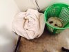 ImageUploadedByHome Brew1388182555.094594.jpg