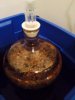 ImageUploadedByHome Brew1388182582.644645.jpg