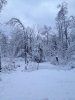 ImageUploadedByHome Brew1388265647.341291.jpg