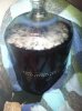 ImageUploadedByHome Brew1389048911.251962.jpg
