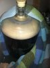 ImageUploadedByHome Brew1389061668.761088.jpg