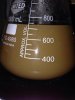ImageUploadedByHome Brew1389539570.920680.jpg