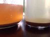 ImageUploadedByHome Brew1390161577.725635.jpg