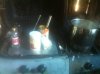 ImageUploadedByHome Brew1390162978.932417.jpg