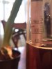 ImageUploadedByHome Brew1390763837.367358.jpg