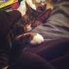 ImageUploadedByHome Brew1390793775.822202.jpg