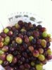 ImageUploadedByHome Brew1391153999.844862.jpg