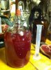ImageUploadedByHome Brew1391154049.959148.jpg