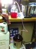 ImageUploadedByHome Brew1391154141.672971.jpg