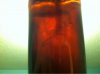 ImageUploadedByHome Brew1391921450.910301.jpg