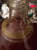 ImageUploadedByHome Brew1392143630.081088.jpg ImageUploadedByHome Brew1392143630.081088.jpg