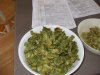 DSCF5264.jpg