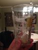 ImageUploadedByHome Brew1393293681.139102.jpg