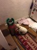 ImageUploadedByHome Brew1393569391.172308.jpg