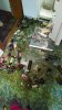 ImageUploadedByHome Brew1394070963.292846.jpg