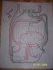 Revised Wiring #3.jpg