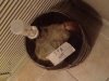 ImageUploadedByHome Brew1394585047.598853.jpg ImageUploadedByHome Brew1394585047.598853.jpg