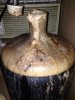 ImageUploadedByHome Brew1394589478.343276.jpg