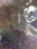 ImageUploadedByHome Brew1394898154.886589.jpg