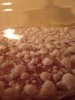 ImageUploadedByHome Brew1395457874.235636.jpg