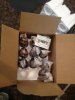 ImageUploadedByHome Brew1395598830.618015.jpg